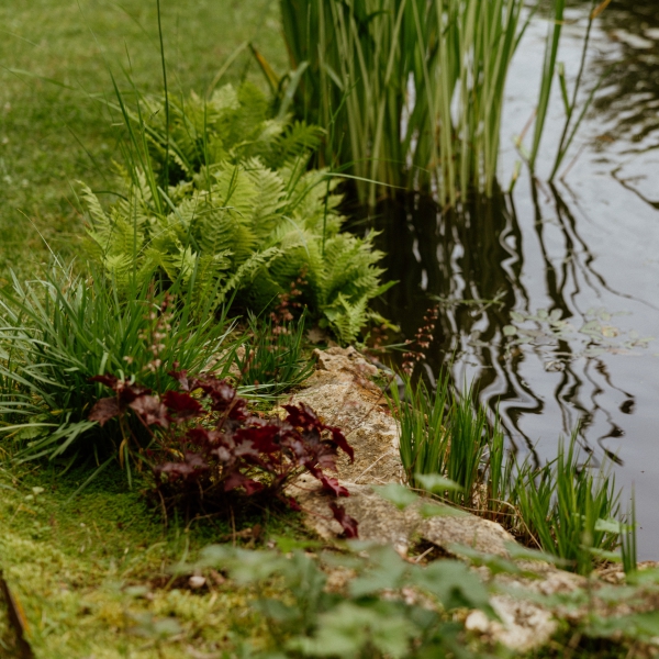 amenagement bassin piscine naturelle terrasse bois 78 yvelines orgeval saint nom la breteche chambourcy saint germain en laye vesinet jardin paysagiste  